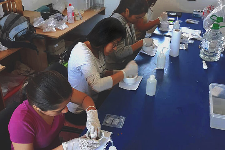 Grupo de científicos y estudiantes examinando muestras en un laboratorio
